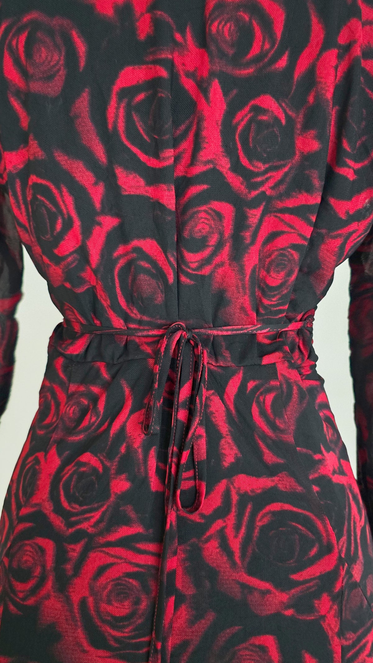 The Crimson Rose Mesh Mini Dress(Size - M,L)
